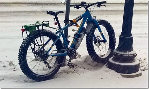 Roughneck in snow closeup