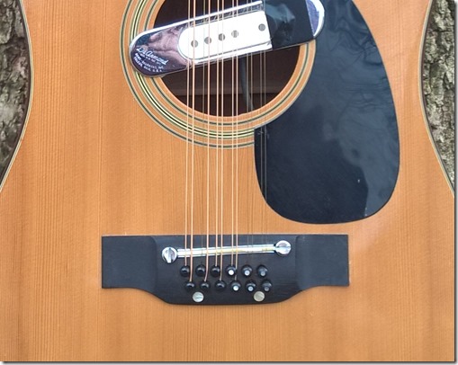 Cortez 12 string Tibbetts Stringing Closeup