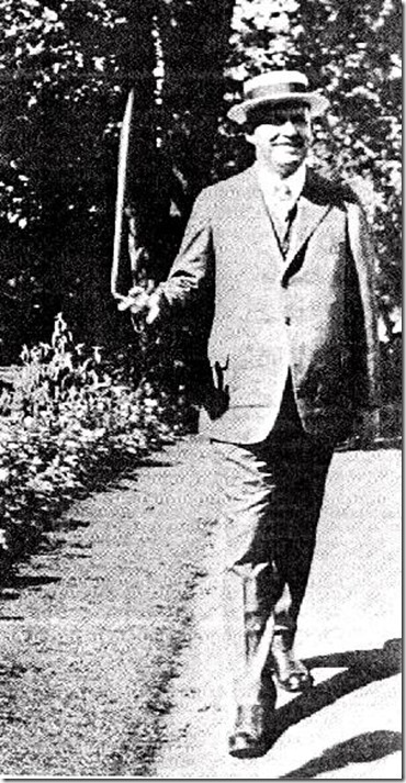 Wallace Stevens Walking