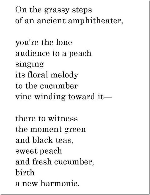 Poetry in Translation from Tazo Peach Tea