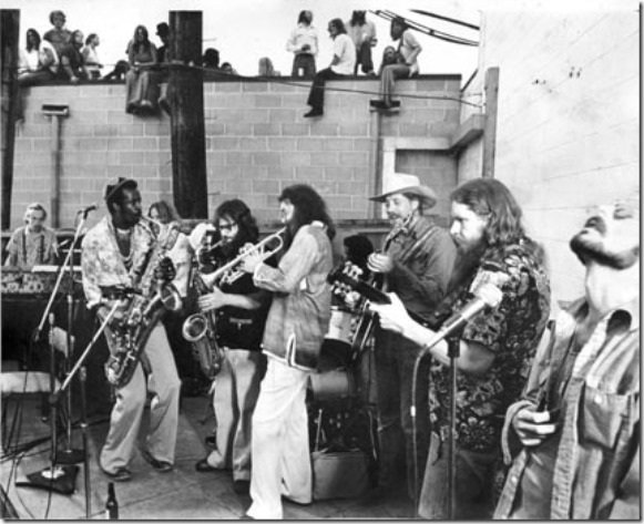 Willie and the Bees photo by Dave Ray