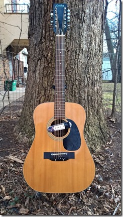 Cortez 12 string 1080