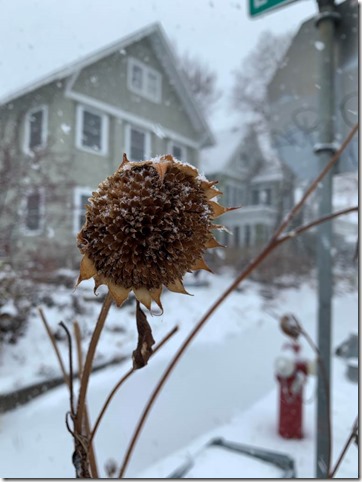 November Sadness by  Heidi Randen