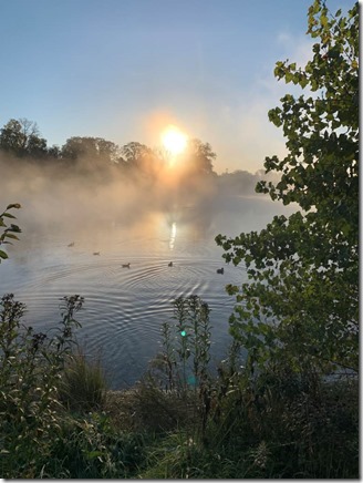 Ducks on a misty pond 1024