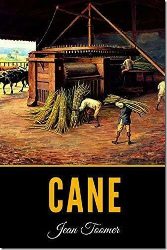 Cane cover