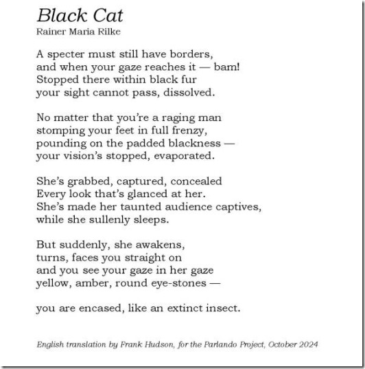Black Cat Translation