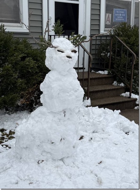 Snow Creature by Heidi Randen 800